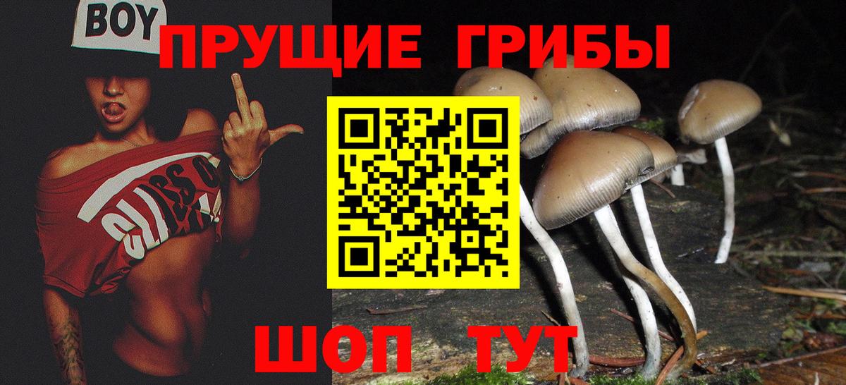 Псилоцибиновые грибы прущие грибы  Вход с VPN  Еманжелинск 